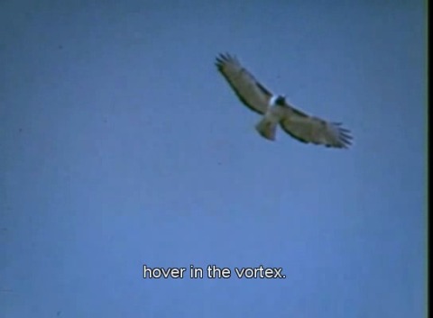 146