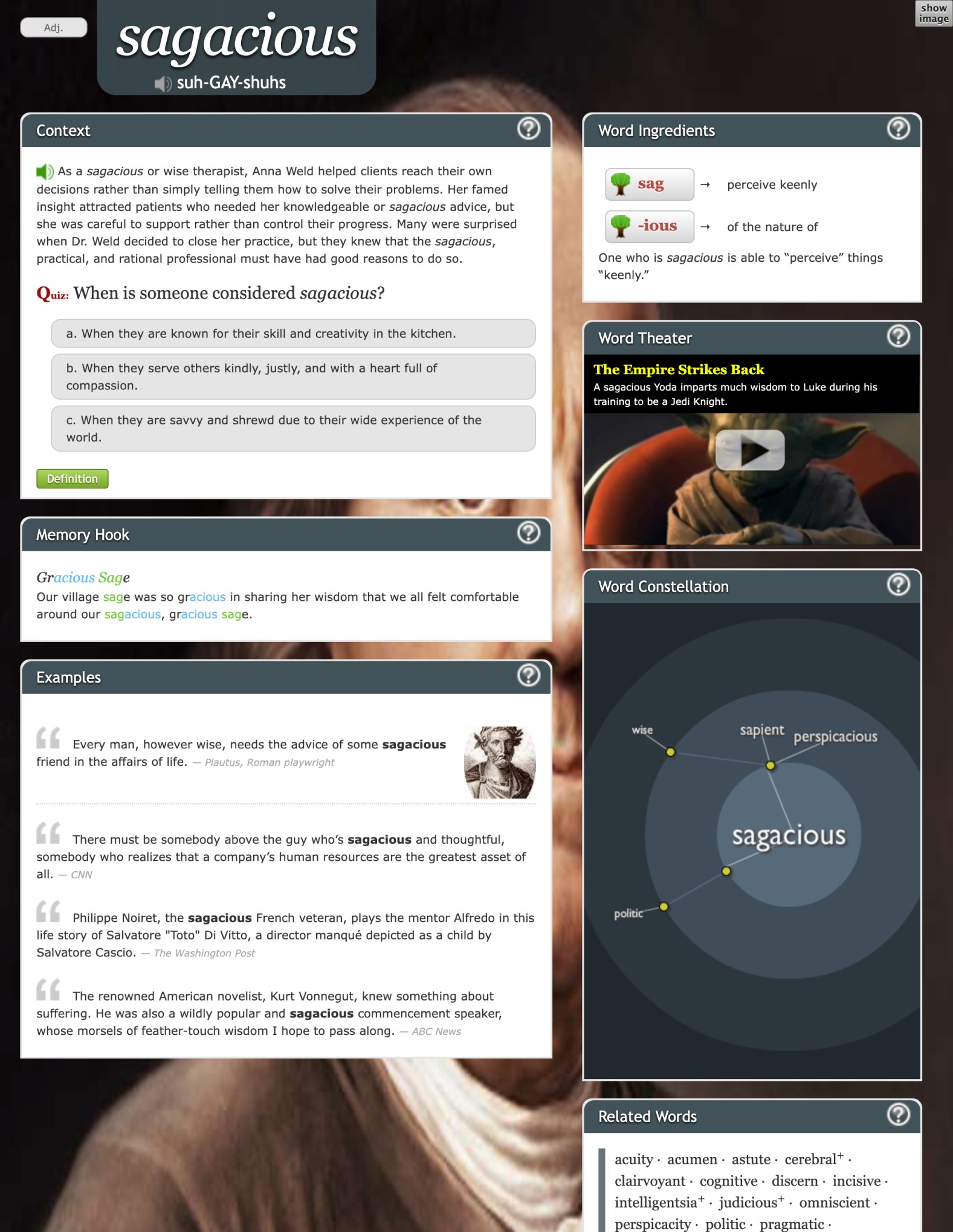 Sagacious word page